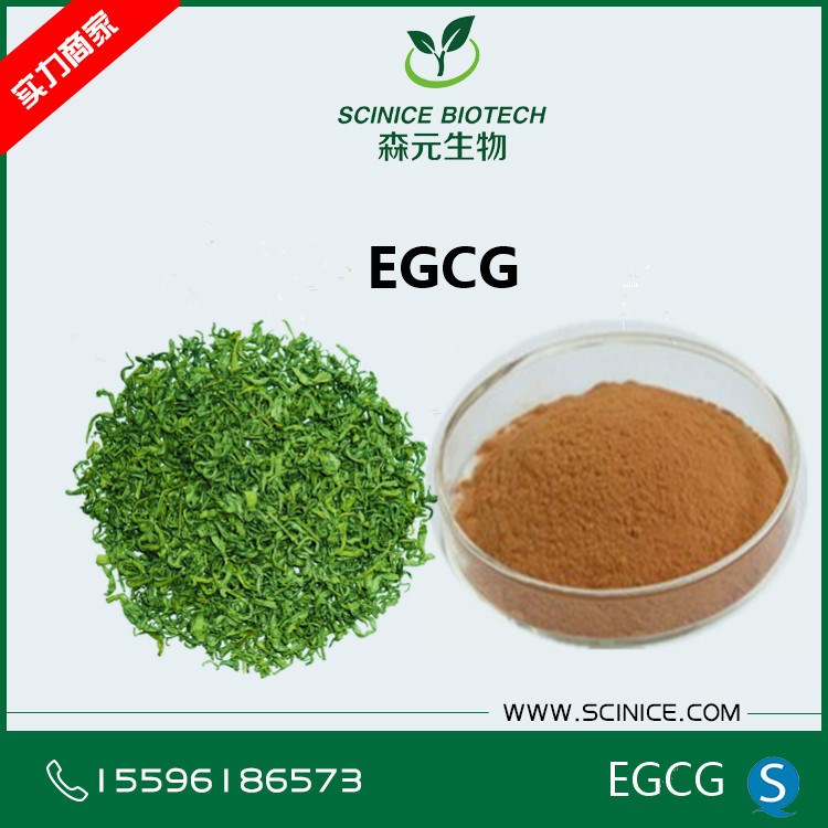 表沒食子兒茶素沒食子酸酯98% EGCG98% 綠茶提取物 100g/袋