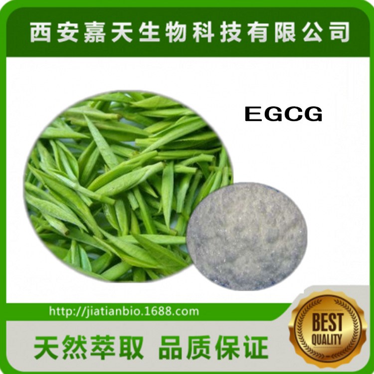 EGCG 98% 綠茶提取物 表沒食子兒茶素沒食子酸酯 100克包裝