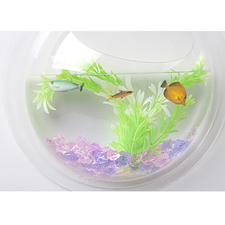 透明生態迷你壁掛魚缸大號圓形心形亞克力魚缸【大號圓形/心形】