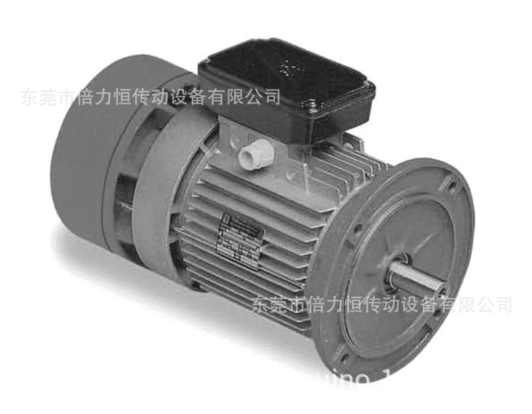 意大利MGM電機，剎車電機，制動電機，MGM電機，意大利剎車電機