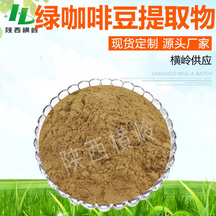 廠家供應(yīng) 綠咖啡豆提取物 98%高含量綠原酸 100g/袋 量大價優(yōu)包郵