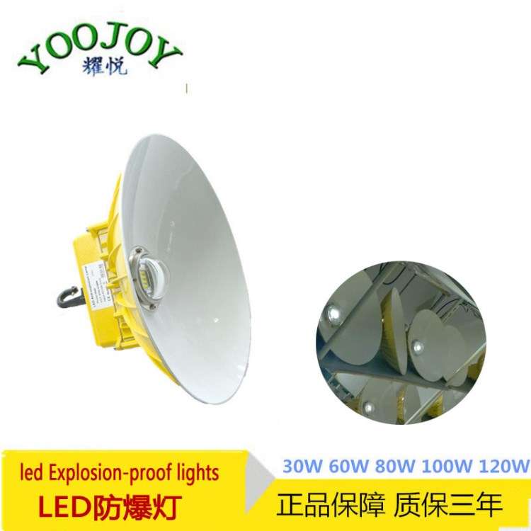 防爆防水防尘LED灯80W 60W 100W 特种防爆灯具