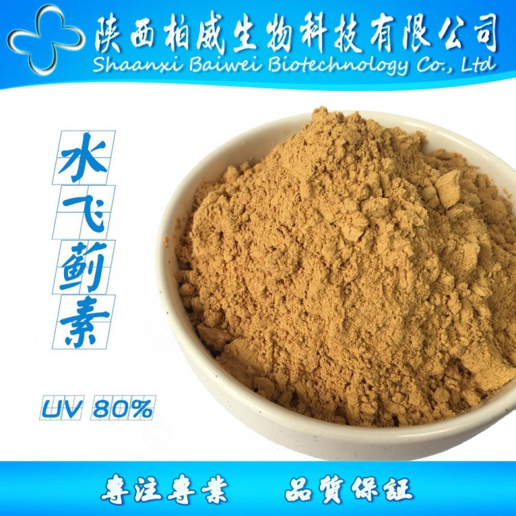 水飛薊提取物 水飛薊素 UV80% 品質(zhì) 柏威廠家現(xiàn)貨直銷