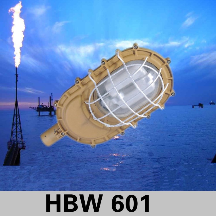 HBW601長禾無極燈免維護(hù)節(jié)能防爆無極燈 50W防爆無極燈防爆道路燈