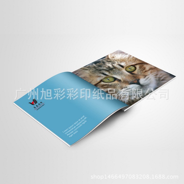 廣州燈具精美畫冊印刷 LED畫冊設(shè)計燈飾產(chǎn)品宣傳畫冊印刷