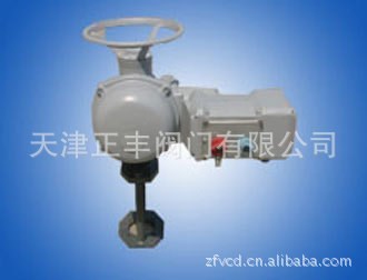 法國伯納德原裝電動執(zhí)行器