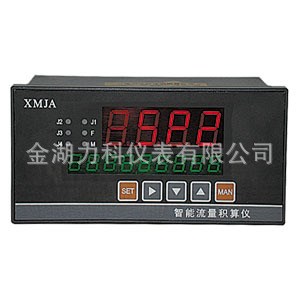 XMJA-9000流量积算仪厂家 流量积算仪价格 温压补偿型 流量积算仪