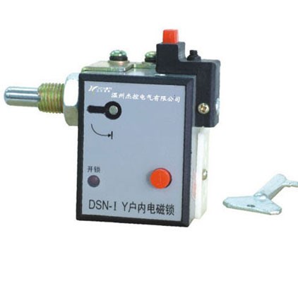 上海 向科供應 DSN-DMY/Z戶內電磁鎖  電控鎖高壓戶內電磁門鎖