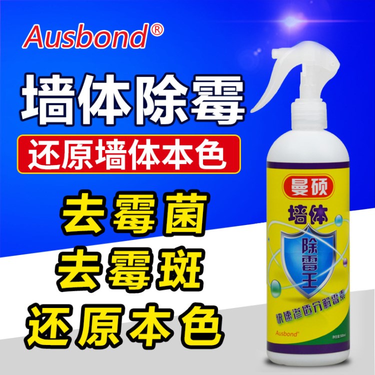 奧斯邦墻體除霉劑 墻面墻壁去霉劑 玻璃除霉劑 防霉劑木材防霉劑