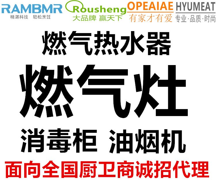 嵌入式 燃氣灶 抽油煙機 嵌入式消毒柜 強排式燃氣熱水器恒溫無氧