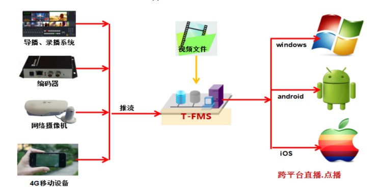 TingFox流媒體服務器系統、地市級電視臺、校園電視臺、教育直播