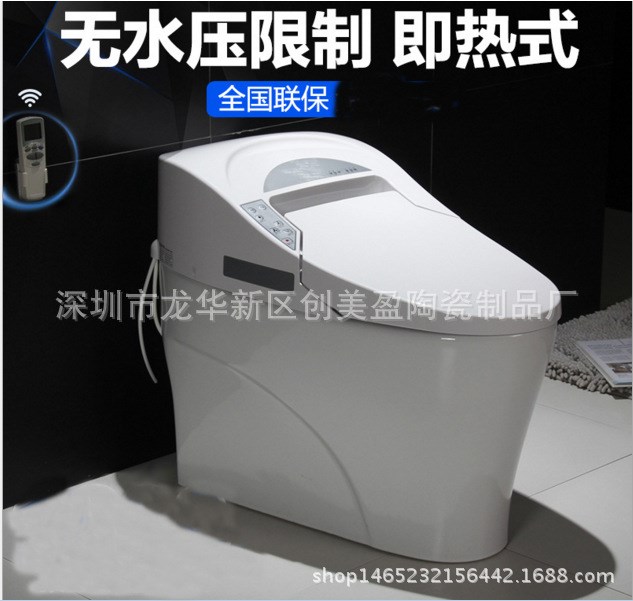 智能馬桶陶瓷水箱技術(shù)雙桿噴嘴一體坐便器電動座便衛(wèi)洗麗535