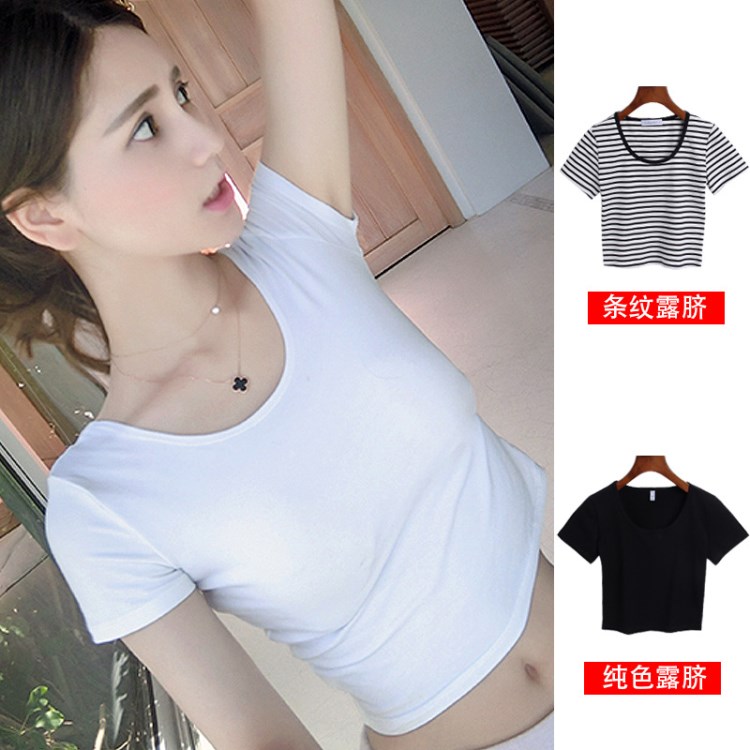 5.3~5.8是金子店蟑螂盒