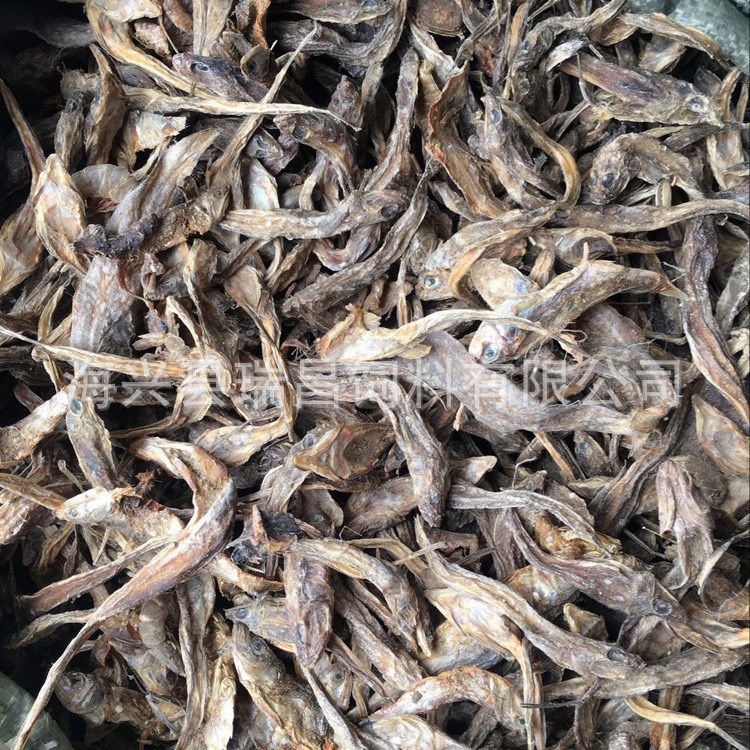 飼料生產(chǎn)廠家  熟魚干 豬飼料 魚干 散裝編織袋  高蛋白魚干