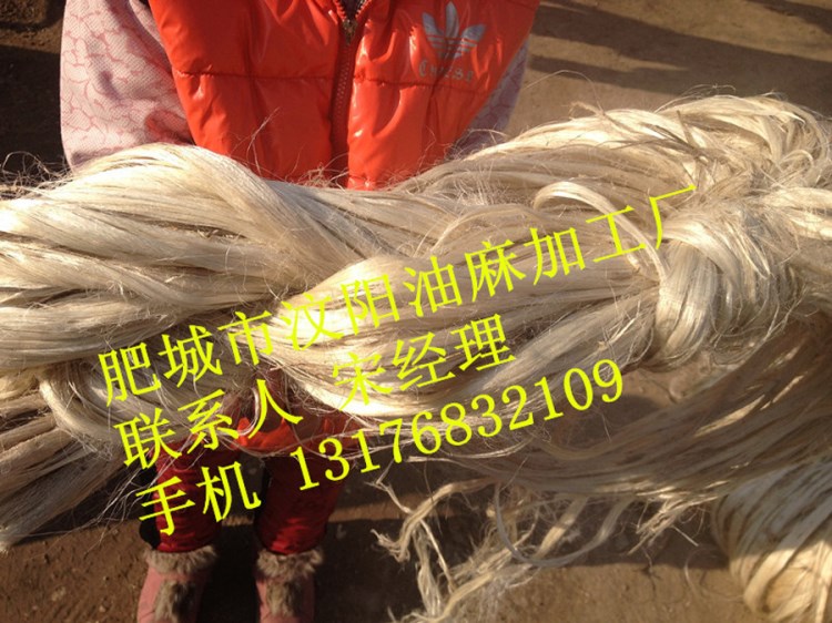 線麻 白麻 黃麻 麻筋 寬麻皮 細(xì)皮白麻 100公斤白麻 管道白麻
