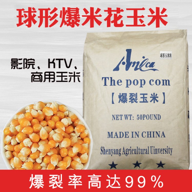 玉米球形爆米花專用爆裂小玉米粒原料圓22.68kg家用商用機(jī)爆玉米