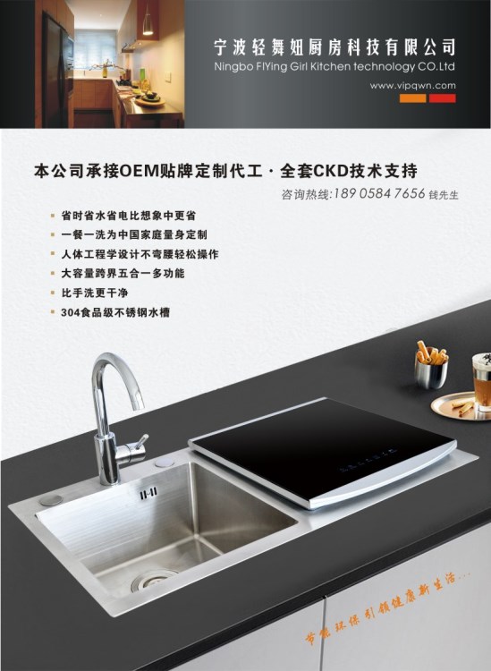洗碗機 水槽洗碗機 全自動水槽洗碗機 不銹鋼304水槽洗碗機