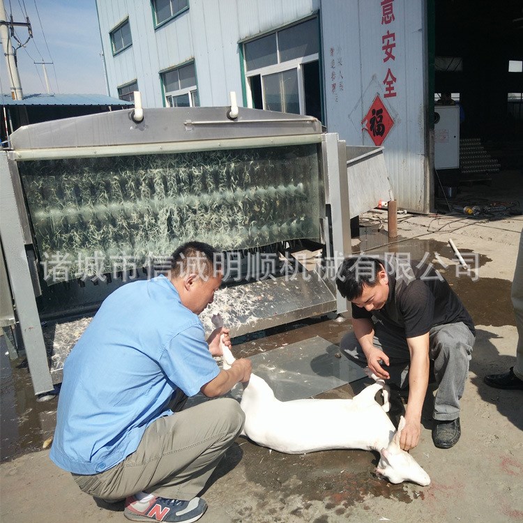 y新型臥式六輥中型羊脫毛機(jī) 羊打毛機(jī)羊屠宰設(shè)備刨毛干凈廠家直銷