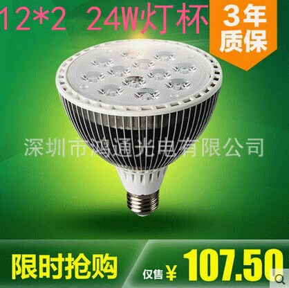 LED 24W 12W大功率 高亮 PAR30 燈杯 燈泡 射燈光源 PAR38