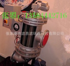 多支楔形過濾芯全自動反沖洗排污海水過濾器廠家直銷