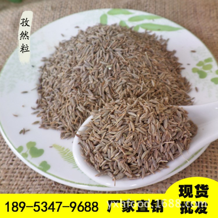 孜然粒燒烤調(diào)料枯茗燒烤腌料孜然芹烤肉料涼皮調(diào)料新疆孜然調(diào)味品