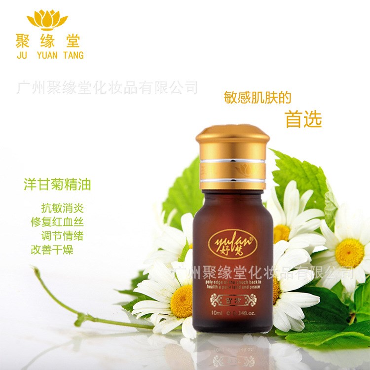 妤梵洋甘菊精油 聚緣堂廠家OEM代理加工 現貨供應 古方養身精油