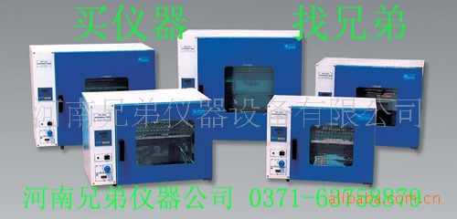 DHG-914D鼓風(fēng)干燥箱-臺式電熱干燥箱|價格|生產(chǎn)廠家