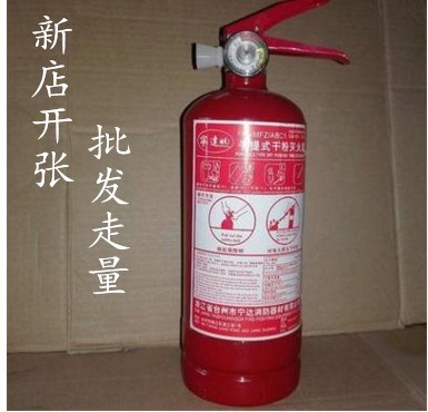 車載滅火器0.5kg 干粉滅火器 車用1KG滅火器 廠家批發