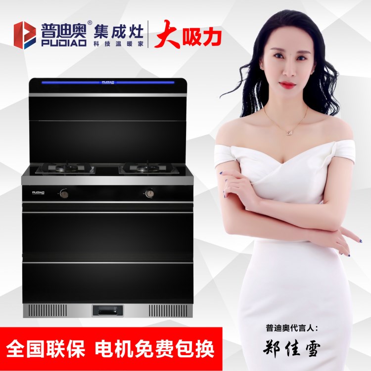 普迪奧集成灶X6雙電機四風輪、高溫加熱清洗