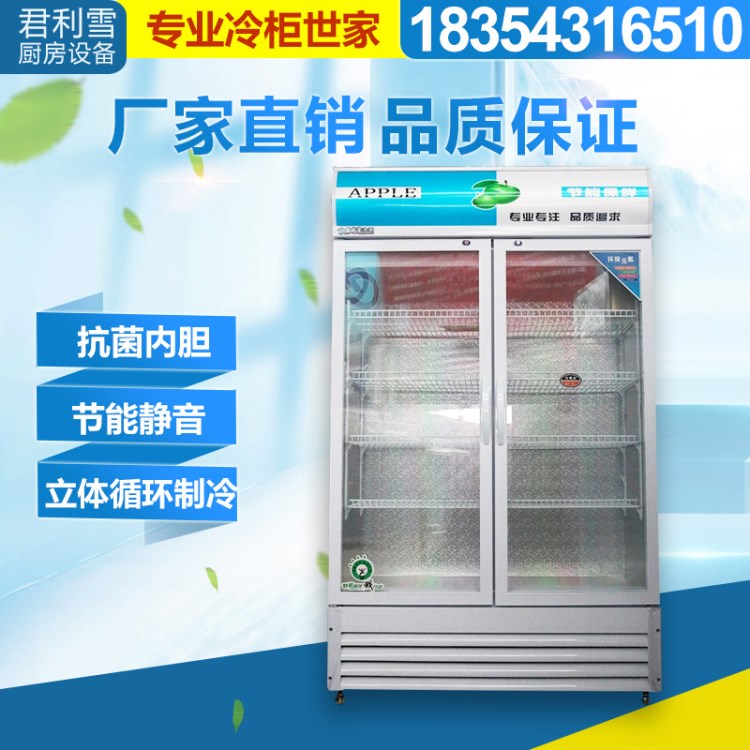 雙門啤酒柜 立式展示柜便利店飲料柜 飲品保鮮柜 耐用冷柜批發