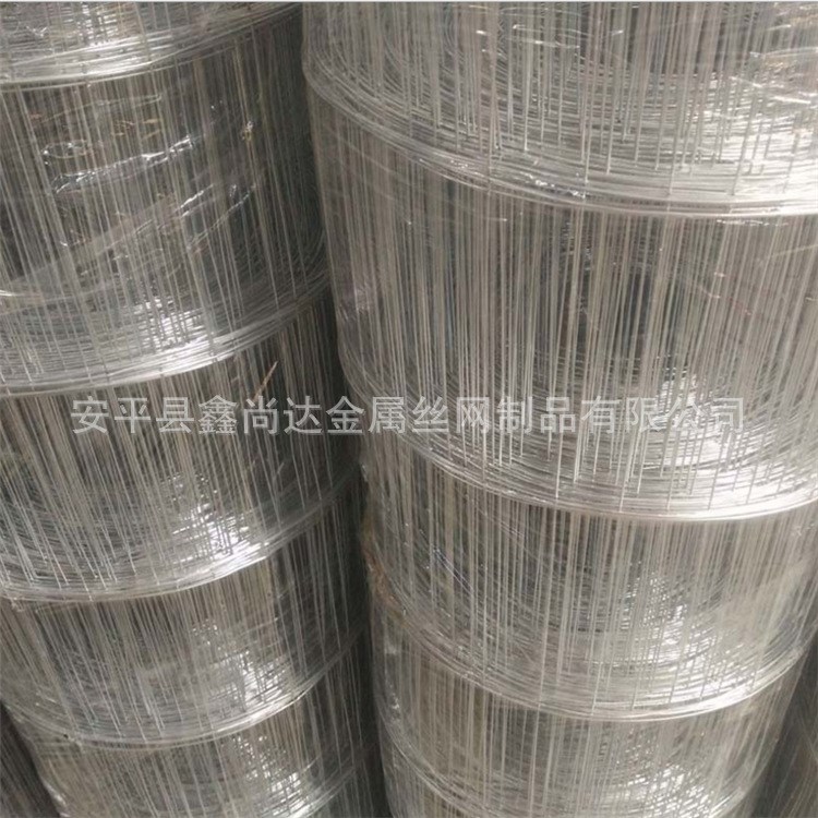 冷熱鍍鋅電焊網(wǎng) 建筑內(nèi)外墻焊接網(wǎng)卷批蕩鐵絲網(wǎng)