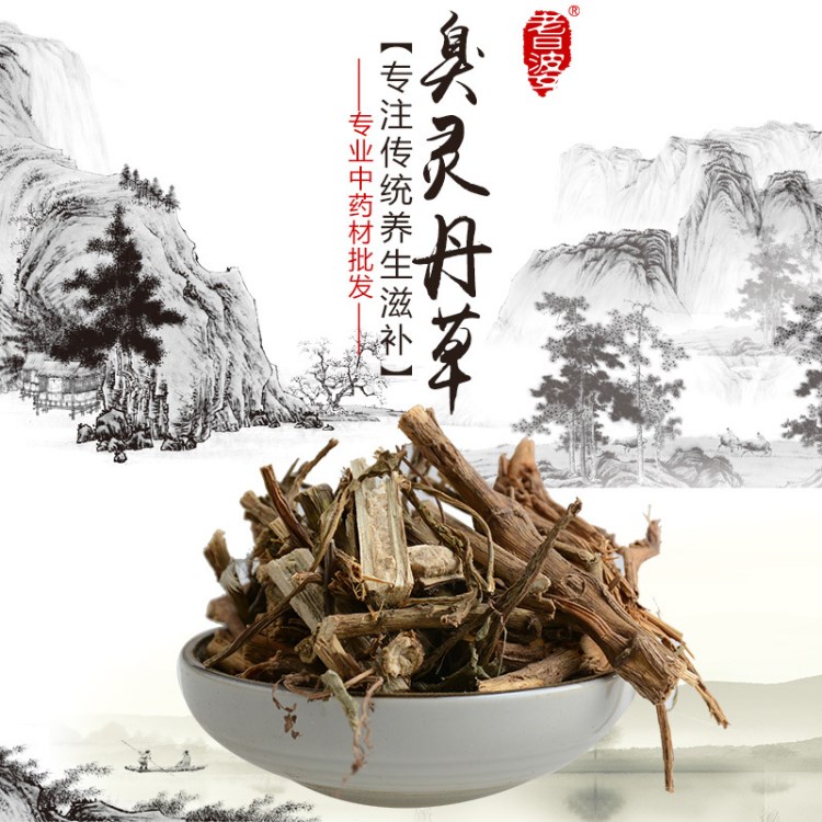 臭靈丹草 散裝批發(fā) 獅子草 臭葉子 六棱菊 大黑藥