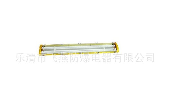 海洋BYC8340 HX防爆熒光燈 T6 28W防爆熒光燈 21W防爆熒光燈
