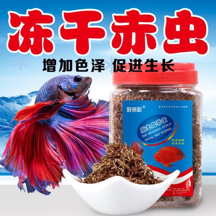 好京彩/原生態(tài)天然干赤蟲/蟲干紅蟲/小型熱帶魚飼料魚食