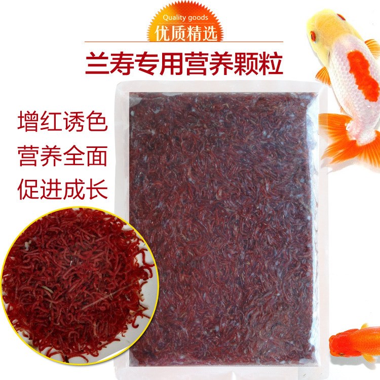 彩金魚紅線蟲七彩魚紅絲蟲塊冰凍500g板日壽蘭壽發(fā)頭增體專用