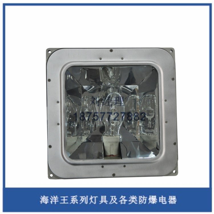 海洋NFC9100防眩棚頂燈 低頂燈 外場工作燈 投光燈