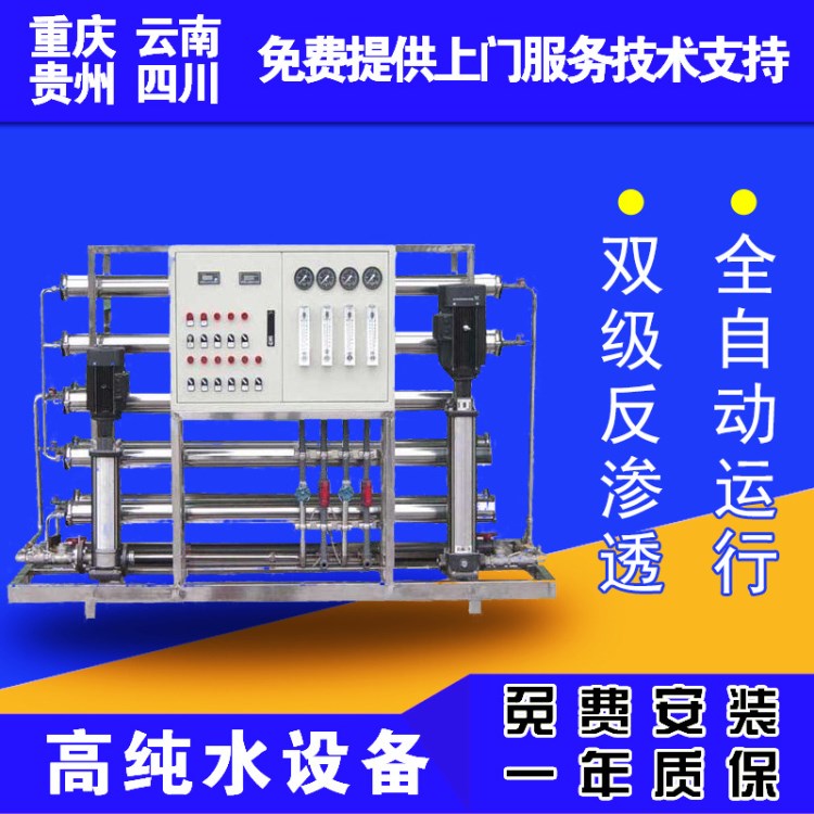 去离子水设备 陶氏水处理0.5吨双级反渗透 供应工业去离子水设备