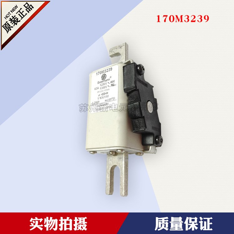 美國巴斯曼Bussmann快速熔斷器170M3210	690V	63A原裝現貨