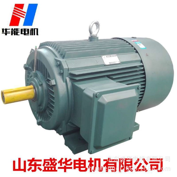 YE3-220kw-315kw2极电机厂家，陕西西安泰富西玛厂附近电机生产厂