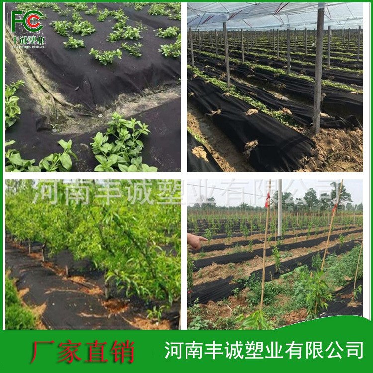 厂家直供可订做果园除草无纺布 透水抗老化除草布 农用除草布