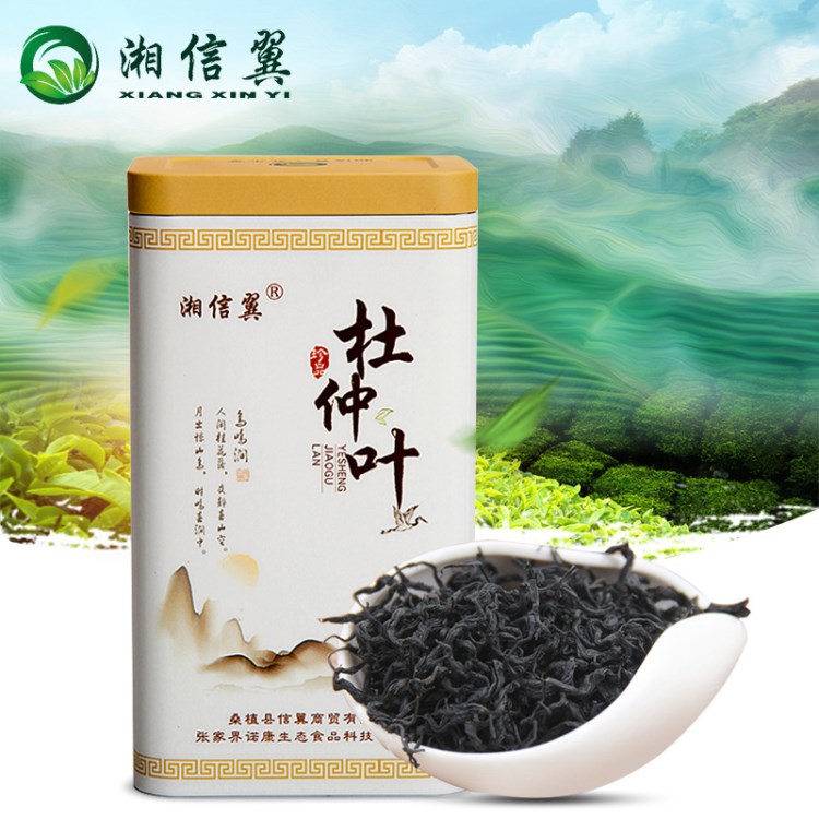 原生態(tài)茶葉 張家界野生杜仲茶散裝批發(fā) 特級野生茶葉廠家