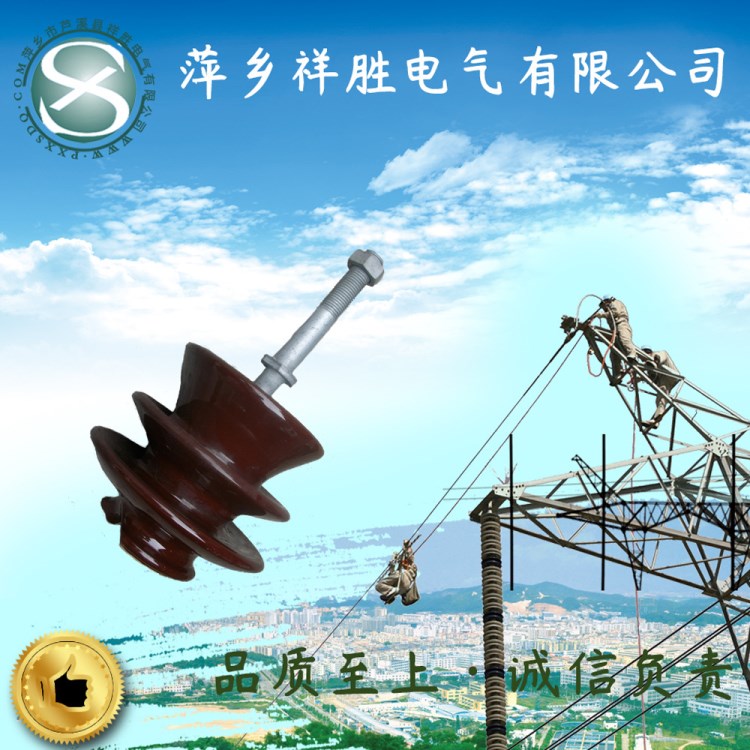 廠家直銷 針式線路絕緣子PQ-10T 供應 電力瓷瓶高壓低壓支柱復合