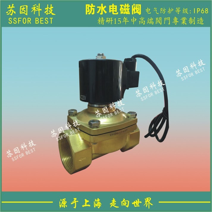 精品防水電磁閥水下專用電磁閥潛水電磁閥水簾電磁閥SK105-W