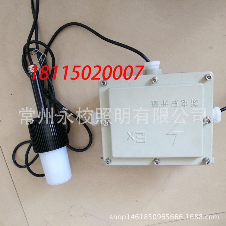 led防爆行灯36v 220V变压12V24V36V防爆行灯 海洋FW6320