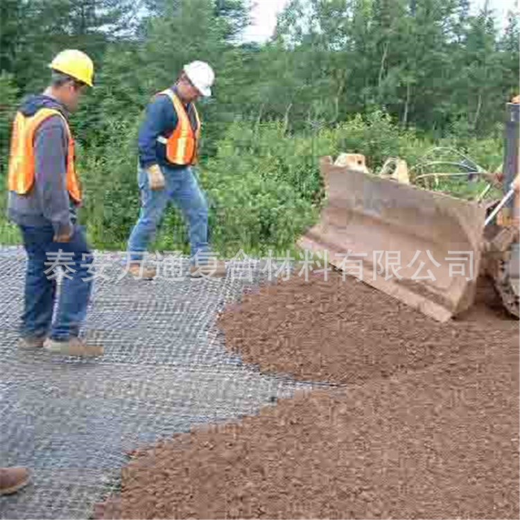 廠家直銷 土工格柵  增強路基 雙向玻纖土工格柵 玻纖格柵