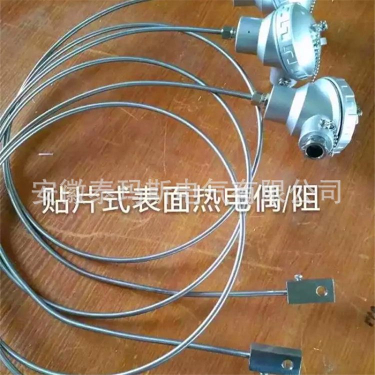 WZPK-136鎧裝熱電阻 鎧裝熱電阻 鎧裝熱電偶 TMS