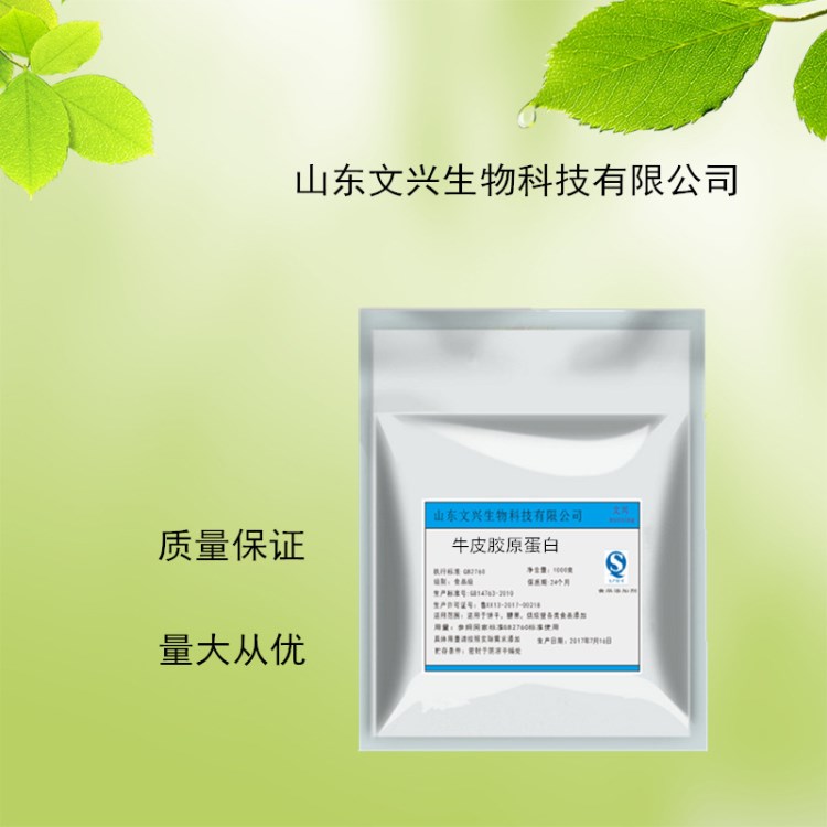 現貨供應 食品級 牛皮膠原蛋白 豬皮膠原蛋白 皮膠原蛋白