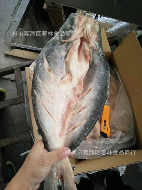 【海之林】開背魚巴沙魚眉公魚 烤魚冰凍越南湄公魚開背龍利魚