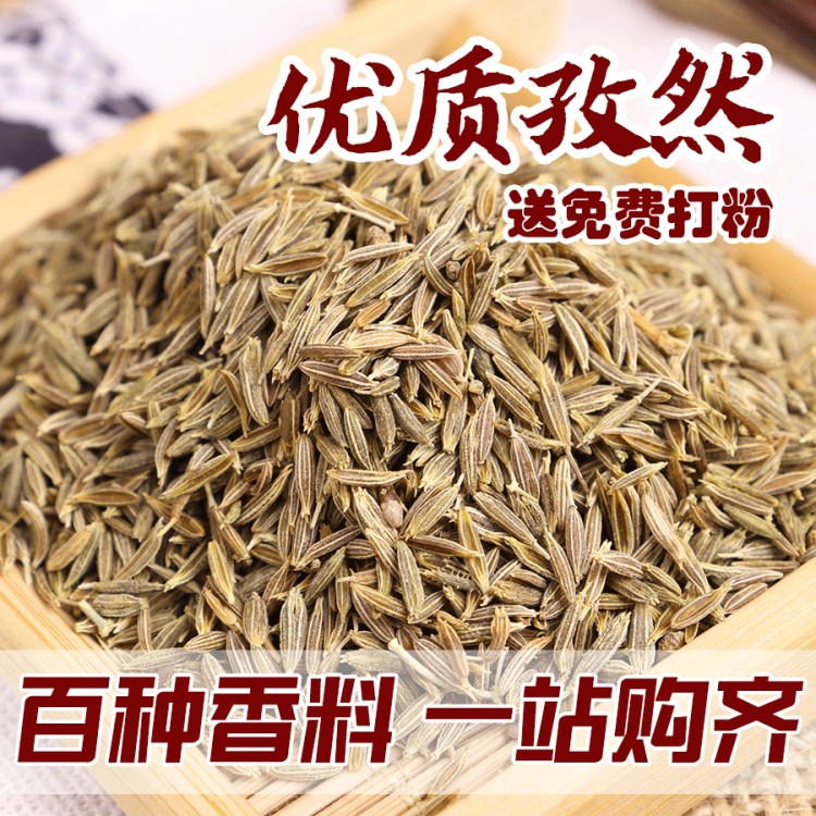 批发孜然调味料 散装香料烧烤调料 孜然粉 牛羊排烤翅腌料