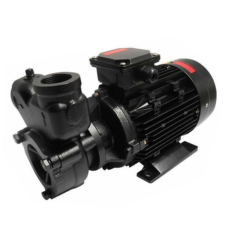 WM-30模溫機(jī)專用高溫?zé)崴褵嵊脱h(huán)泵 臥式熱水泵高溫給水旋渦泵
